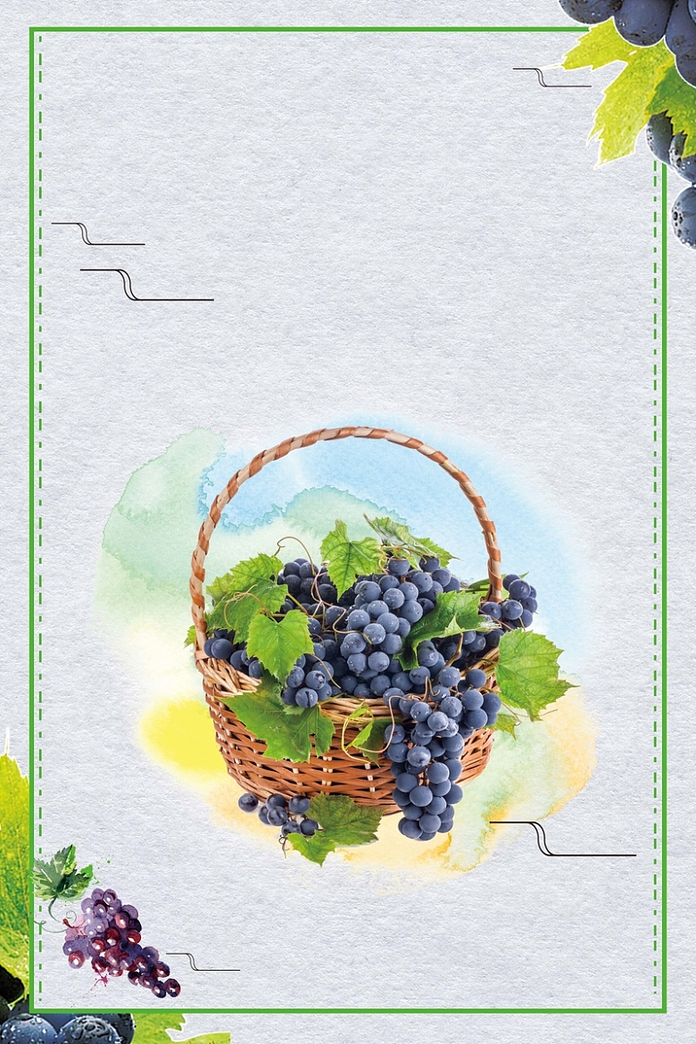 简约手绘风格水果葡萄成熟采摘