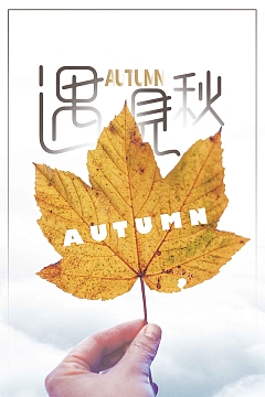 清新渐隐字体遇见秋天秋分促销