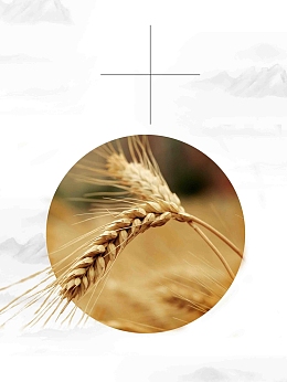 简单秋种励志二十四节气之秋分