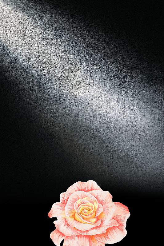 黑色简约美容整形海报