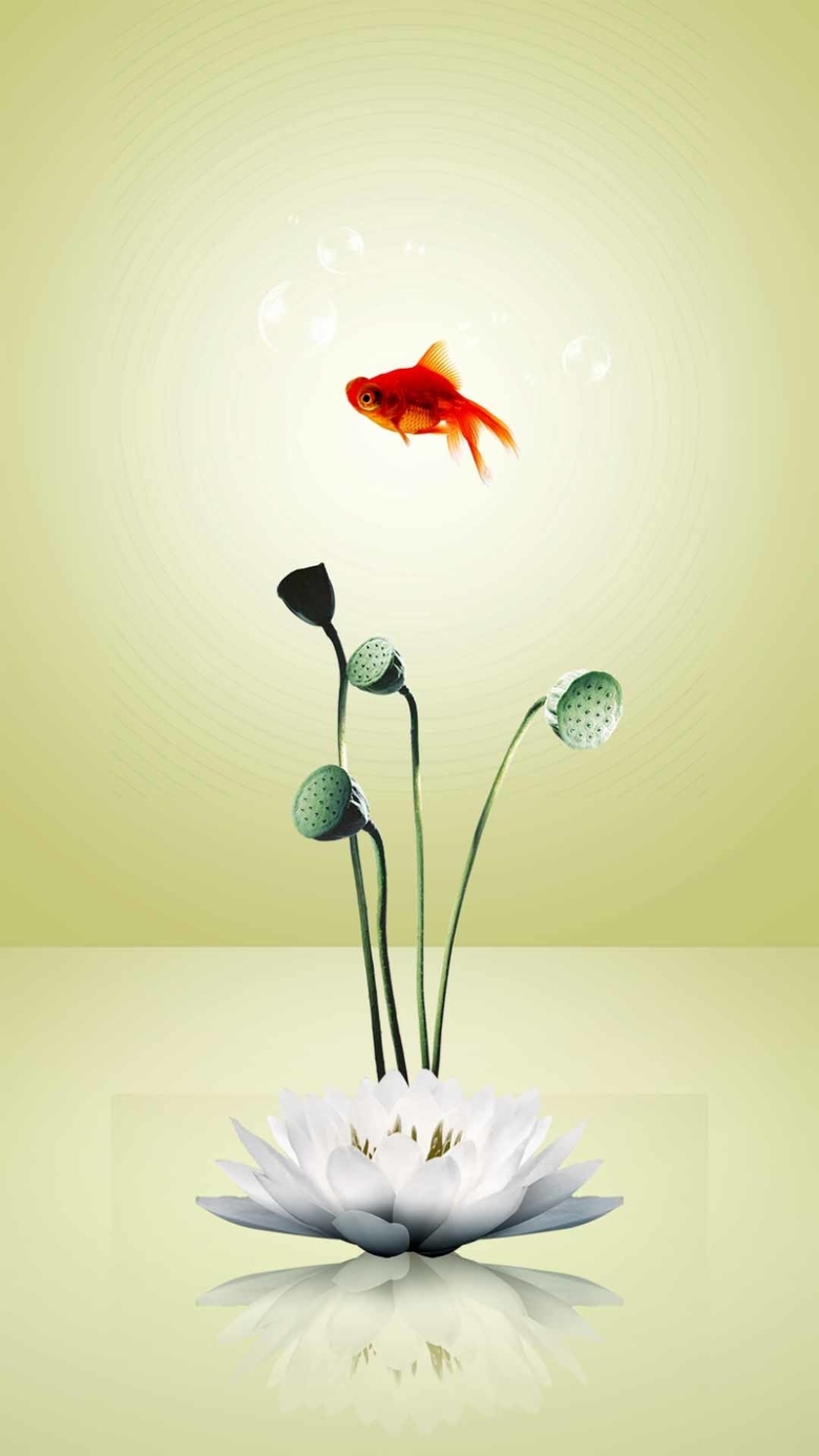 绿色莲藕金鱼渐变商业h5背景