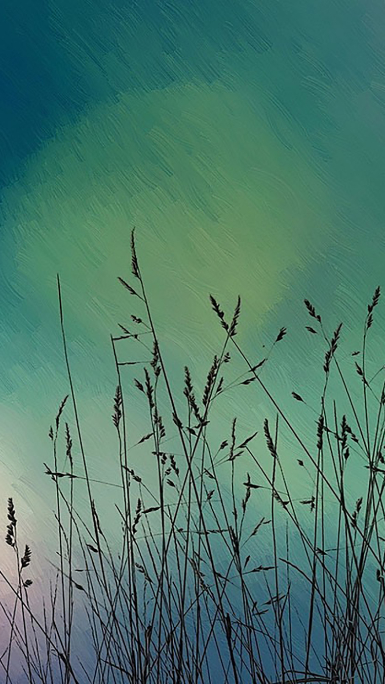 小清新渐变背景花草背景h5背景