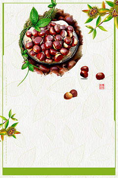 冬季板栗简约几何绿色banner