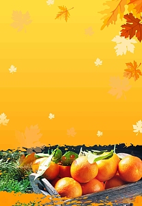 水果店秋橘促销活动海报