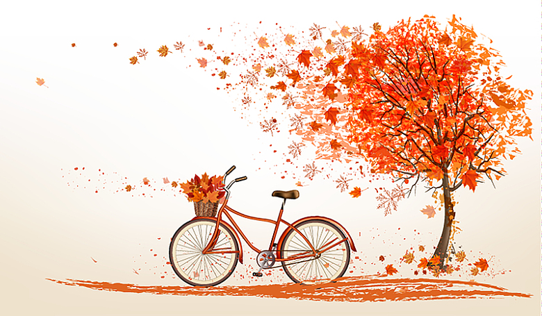 枫树与自行车