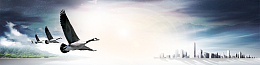企业网页大气背景banner