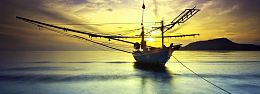 海洋文化展板banner