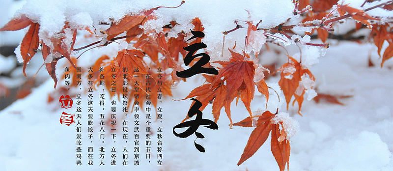 立冬枫叶雪花梦幻banner
