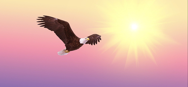 雄鹰展翅h5背景