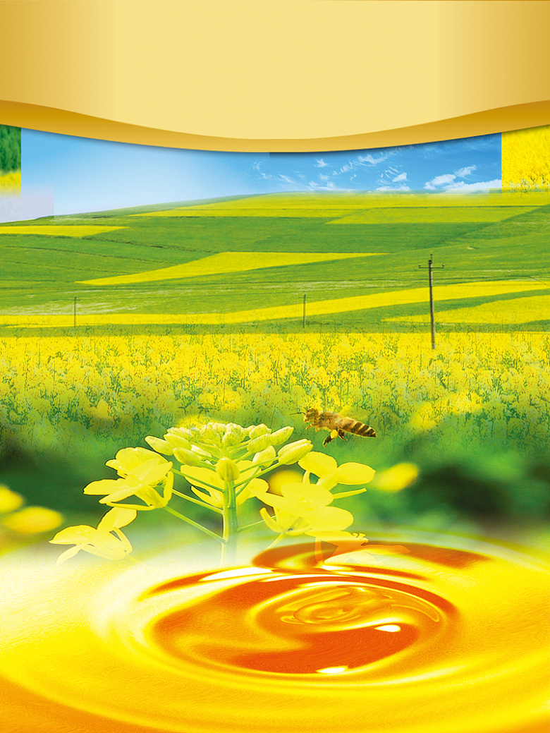 黄色油菜花蜜蜂海报背景