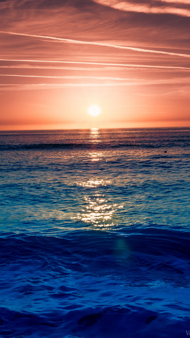 780_1386竖版 竖屏