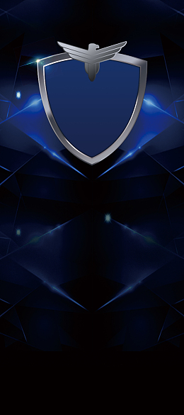 科技安保公司招聘精英易拉宝