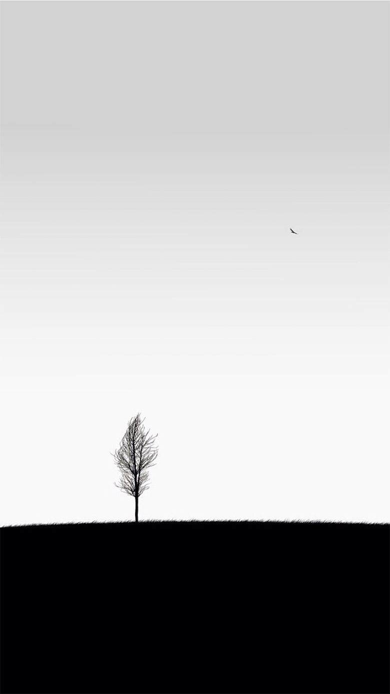 黑白一棵树剪影背景
