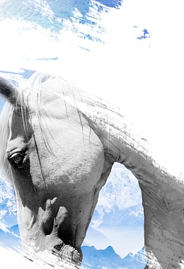 以梦为马企业文化