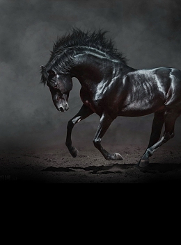 以梦为马企业文化背景模板