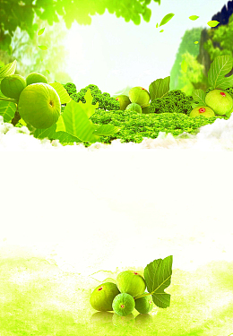 枇杷海报背景设计