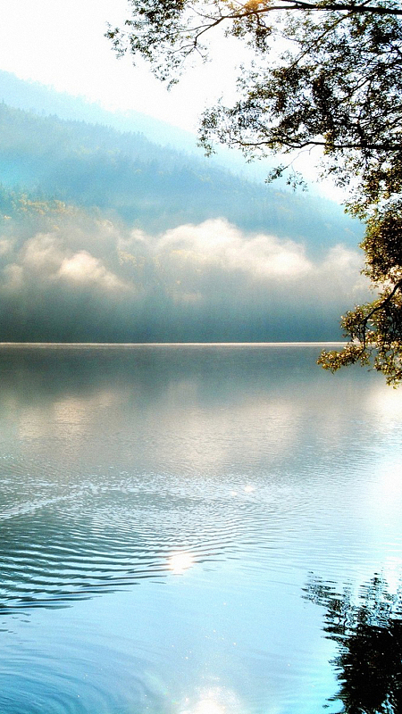 平静湖面h5背景