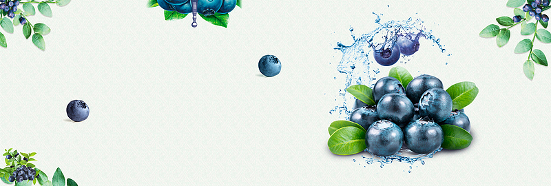 新鲜蓝莓上市促销清新绿色banner