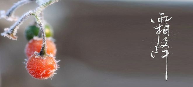 霜降唯美文艺简约banner