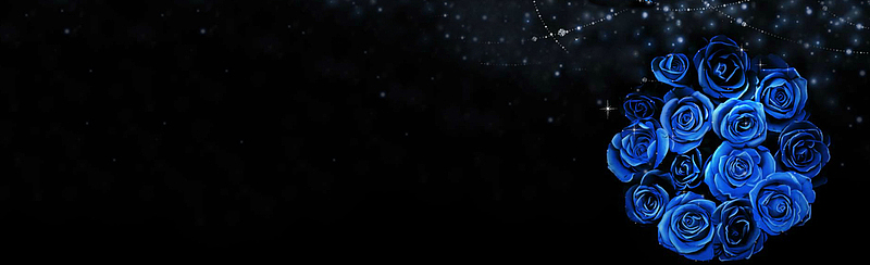 黑蓝色玫瑰唯美背景banner
