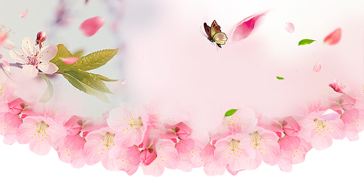 最美花期海报背景素材