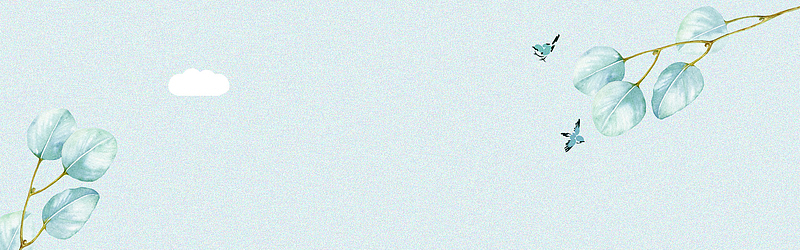 优雅极简花卉文艺banner
