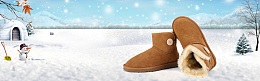 雪地靴文艺雪花蓝色banner