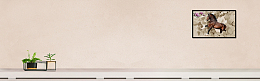 家具电商淘宝banner