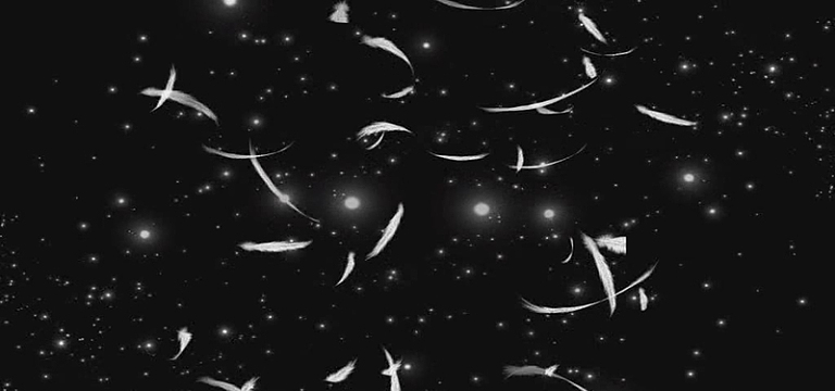 暗夜白羽banner背景