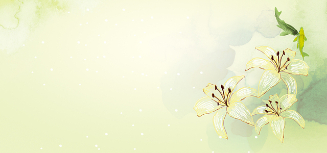 百合花清新背景大图