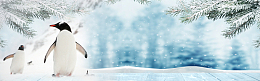 清新冬季雪天banner