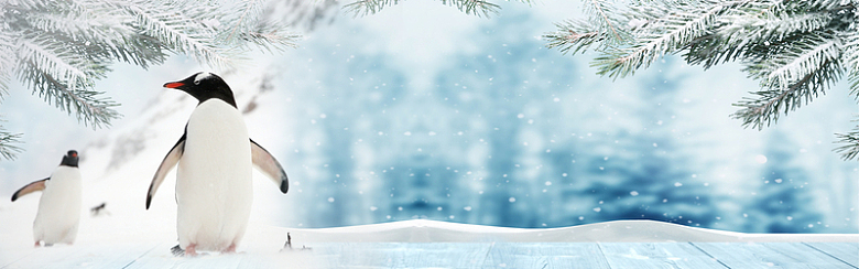 清新冬季雪天banner