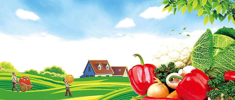 天猫新鲜蔬菜大促banner
