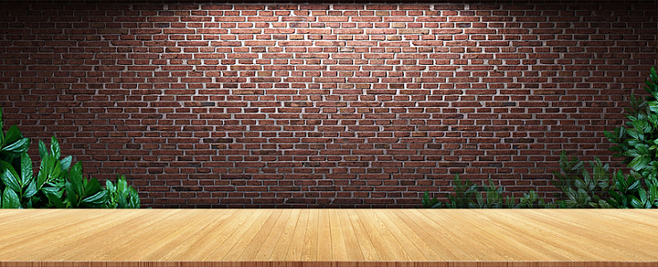 棕红砖墙绿植木板背景