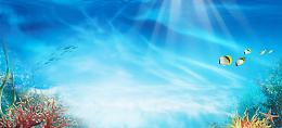 海底世界背景banner
