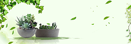 绿色小清新植物盆栽多肉电商banner