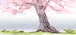 浪漫日本樱花节主题背景图