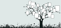 背景墙照片墙banner