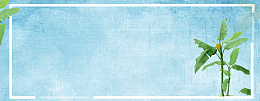 蓝色夏天banner背景图