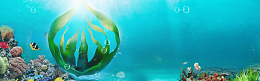 小清新海底世界背景banner