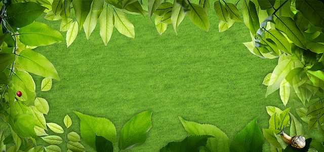 绿色嫩叶环保草地草皮锅牛海报banner
