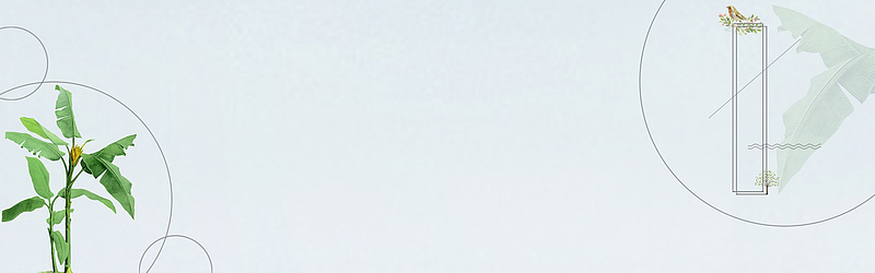 淘宝秋季素雅简约白色海报banner