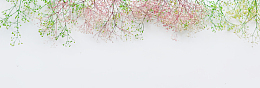 小清新花草背景banner