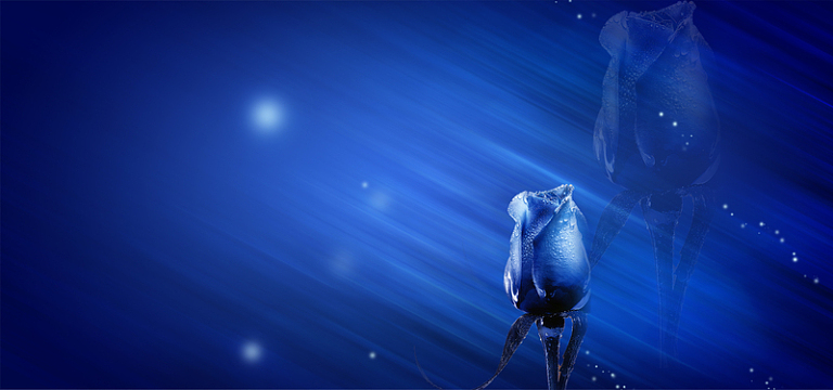 淘宝蓝色妖姬深蓝色质感浪漫海报背景