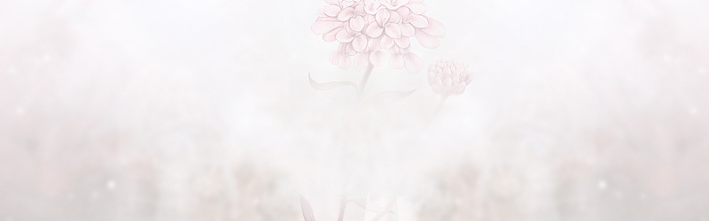 女装创意背景