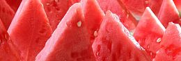 西瓜组合唯美背景