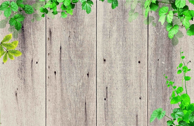 韩式木板白色绿叶森林健康藤曼家装海报背景