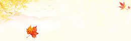 文艺简约秋季枫叶banner