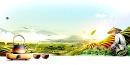 清新简约中国茶韵PSD素材