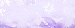 冬季雪花羽绒服背景